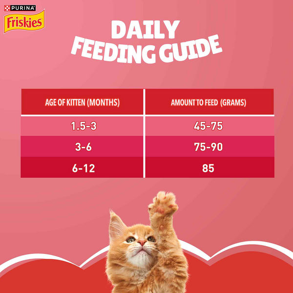 Purina Friskies Kitten Cat Dry Food