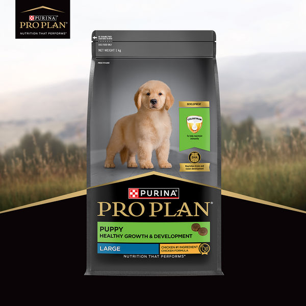 Pro Plan Chicken Large Breed Puppy Dog Dry Food (New Improved Formula)