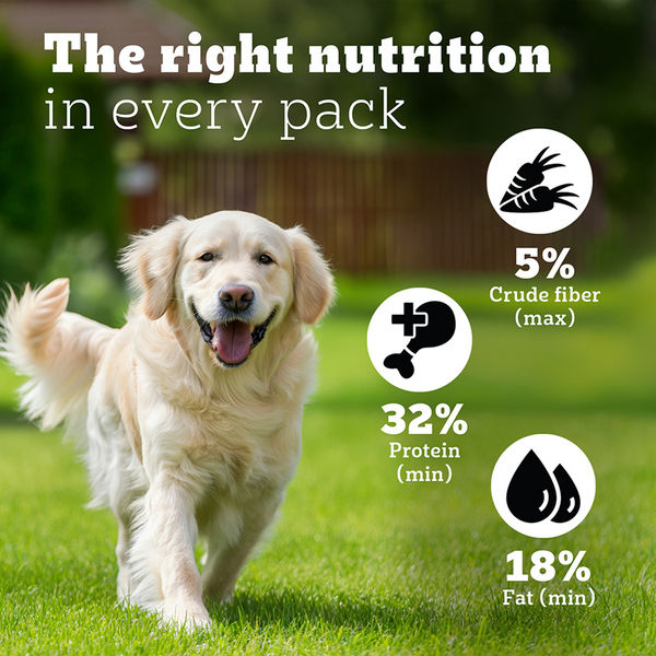 Pedigree PRO Expert Nutrition Lactating/Pregnant Mother & Puppy Starter(3 to 12 Weeks) Large Breed Dog Dry Food