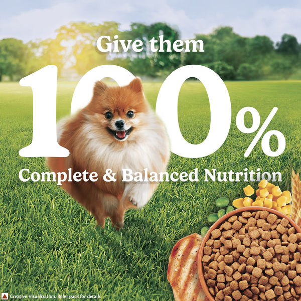 Purina Friskies Chicken Small Breed Adult Dog Food