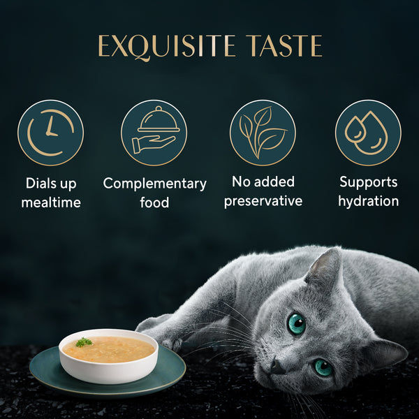 Sheba Soup with Chicken Adult Cat Wet Food