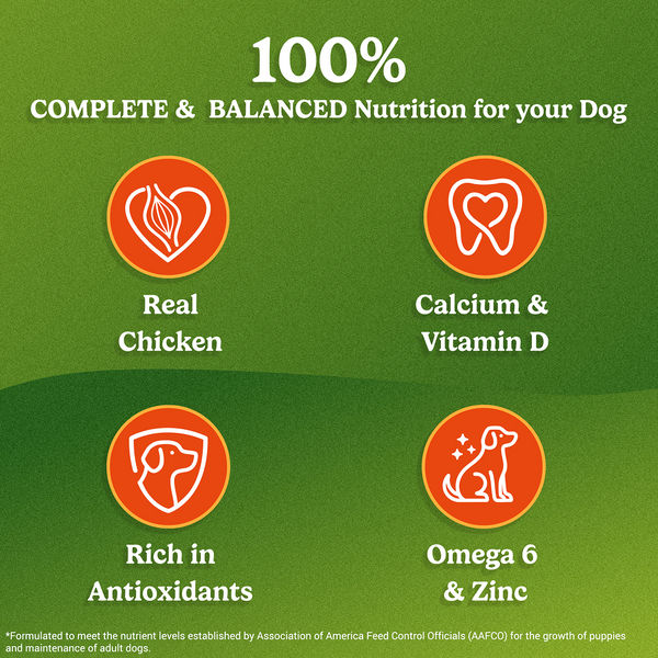 Purina Friskies Chicken Adult Dog Dry Food
