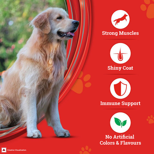 Purina SuperCoat with Chicken Smartblend Adult Dog Dry Food (1+ Years)