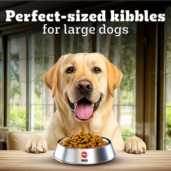 Pedigree PRO Expert Nutrition Lactating/Pregnant Mother & Puppy Starter(3 to 12 Weeks) Large Breed Dog Dry Food