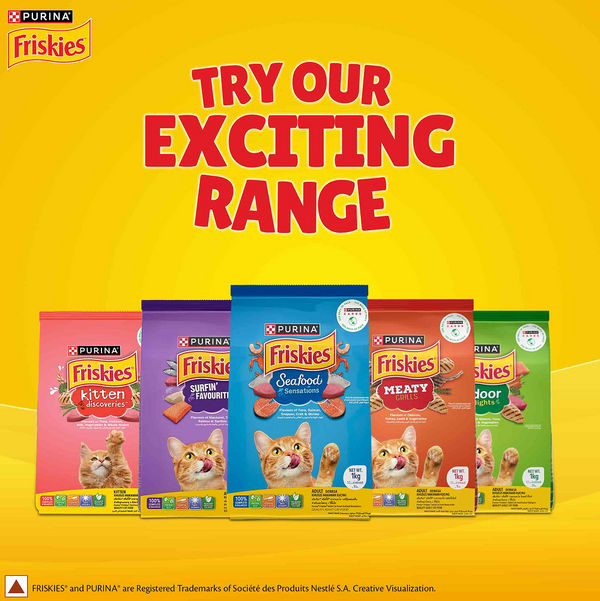 Purina Friskies Kitten Cat Dry Food