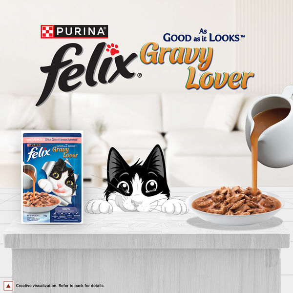 Purina Felix Gravy Lover Salmon Chunks Adult Complete and Balanced Cat Wet Food