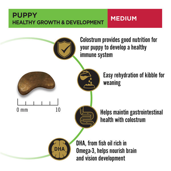 Purina Pro Plan Chicken Medium Breed Puppy Dog Dry Food (New Improved Formula)