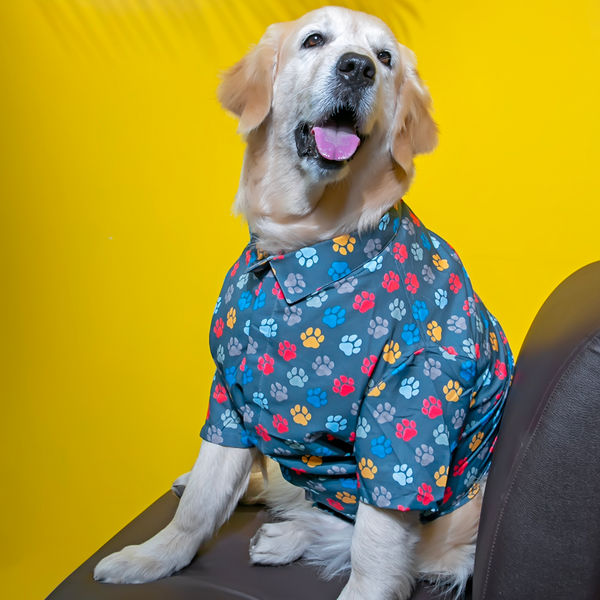 15buttons Pawsome Shirt for Dogs