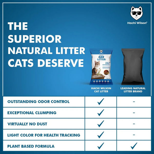 Hachi Wilson Scented Natural Bentonite White Sand Cat Litter