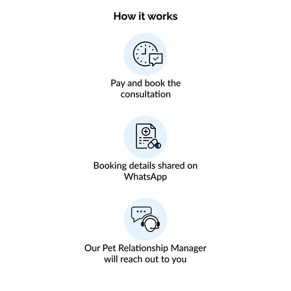 Instant Consultation (10 AM to 7 PM)