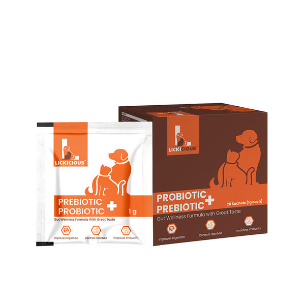 Lickicious Pre and Probiotics Sachets,Gut Health & Digestion for Dogs & Cats