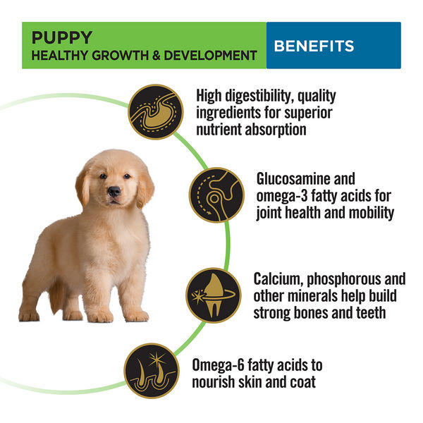 Pro Plan Chicken Large Breed Puppy Dog Dry Food (New Improved Formula)