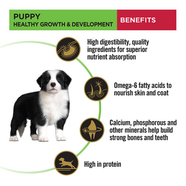 Pro Plan Chicken Medium Breed Puppy Dog Dry Food (New Improved Formula)