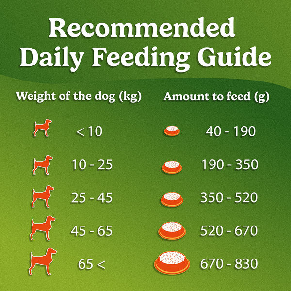Purina Friskies Chicken Adult Dog Dry Food