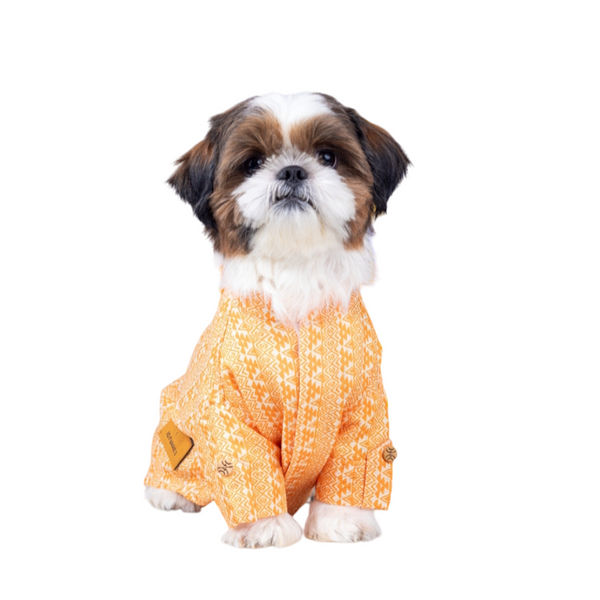 15 Furries Haldi Kurta for Dogs