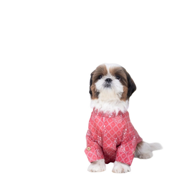 15 Furries Khushi Kurta for Dogs