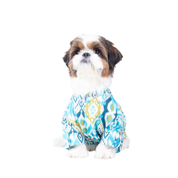 15 Furries Nawab Kurta for Dogs