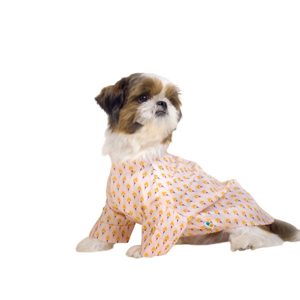 15 Furries Sanskriti Kurta for Dogs