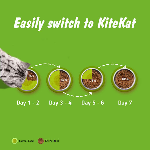 Kitekat Ocean Fish Adult Cat Dry Food