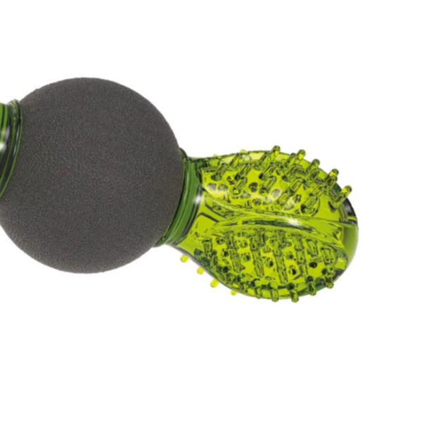 M Pets Uranus Toy for Dogs (Green/Black)