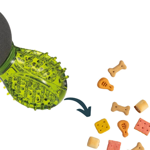 M Pets Uranus Toy for Dogs (Green/Black)