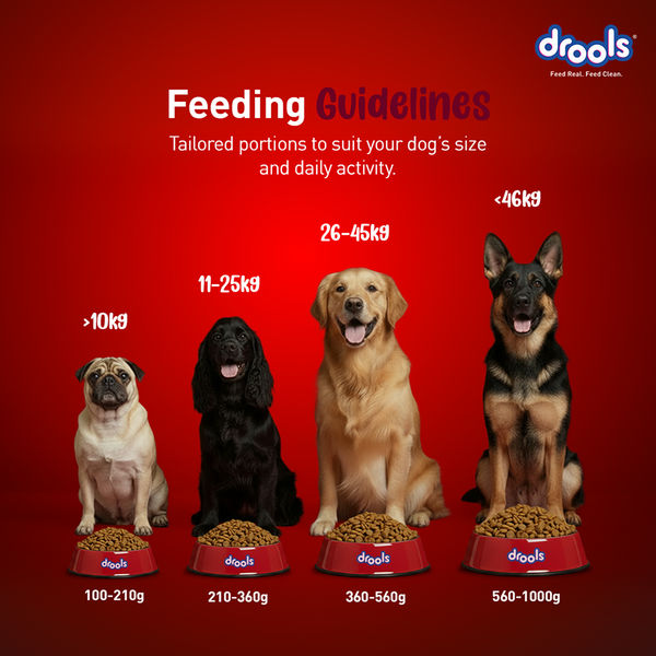 Drools Meat and Milk Puppy Dog Dry Food
