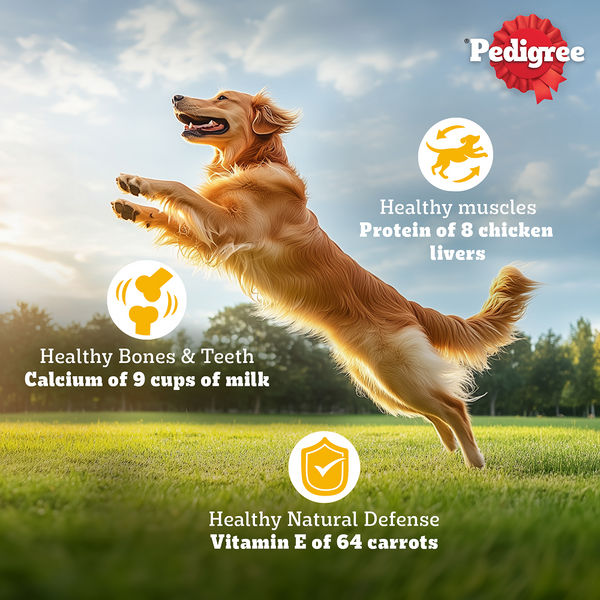 Pedigree Chicken, Egg and Rice Adult Dog Dry Food