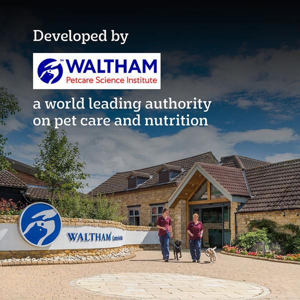 Pedigree PRO Expert Nutrition Small Breed Puppy (2 to 9 Months) Dry Food