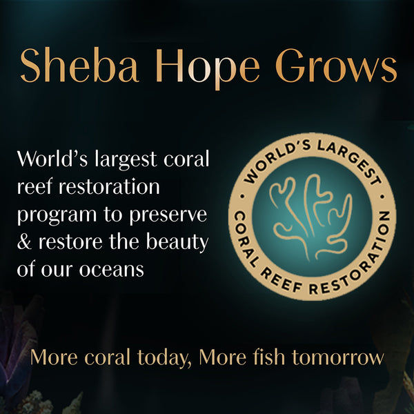 Sheba Chicken With Tuna In Gravy Rich Premium Adult Fine Cat Wet Food