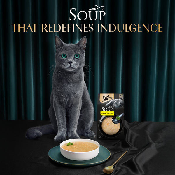 Sheba Soup with Chicken Adult Cat Wet Food