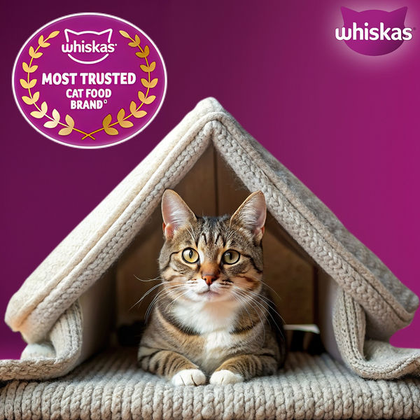 Whiskas Ocean Fish Flavour Adult Cat Dry Food