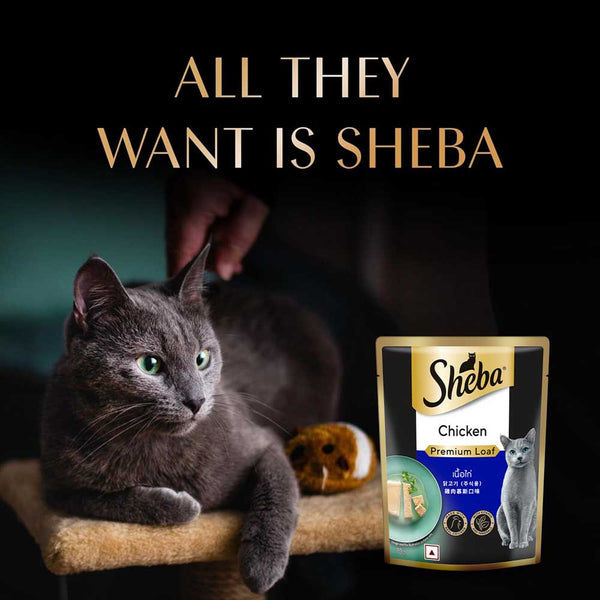 Sheba Chicken Loaf Rich Premium Adult Fine Cat Wet Food