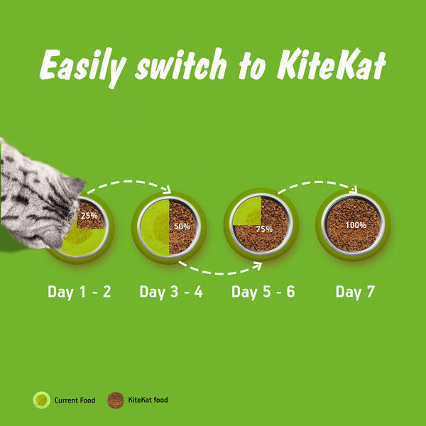 Kitekat Ocean Fish Adult Cat Dry Food