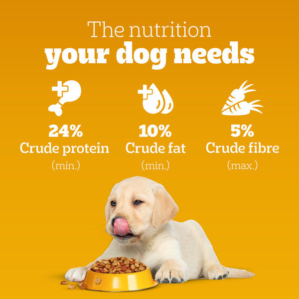 Pedigree Chicken and Milk Puppy Dog Dry Food