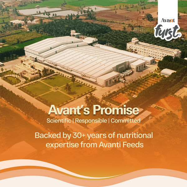 Avant Furst Chicken and Vegetable Puppy Dry Food