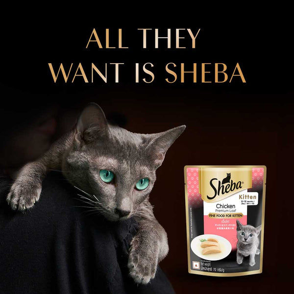 Sheba Chicken Loaf Rich Premium Kitten (2 to 12 Months) Fine Cat Wet Food