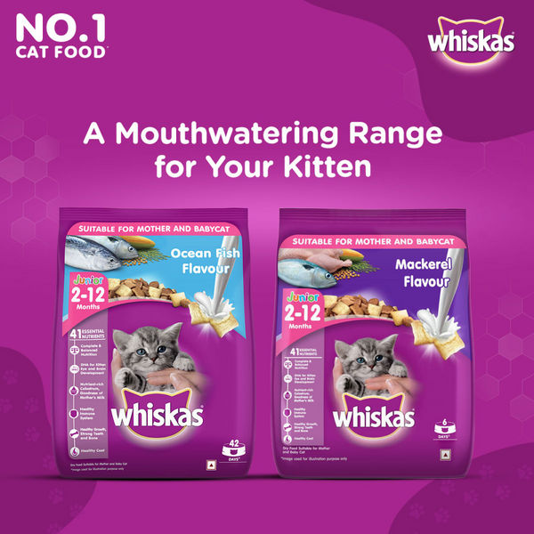 Whiskas Ocean Fish and Tuna in Jelly Kitten Dry and Wet Food Combo