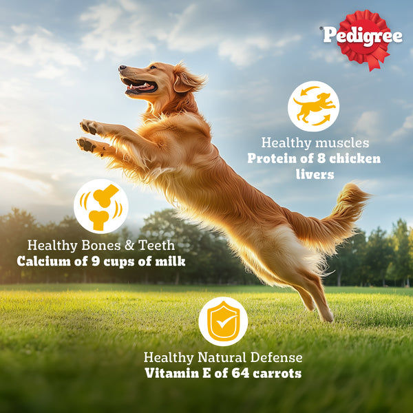 Pedigree Chicken and Vegetables Adult Dog Dry Food