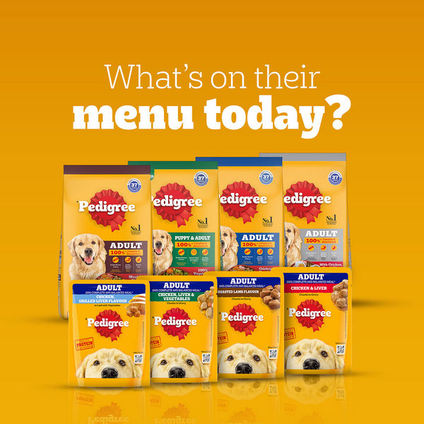 Pedigree Chicken and Vegetables Adult Dog Dry Food