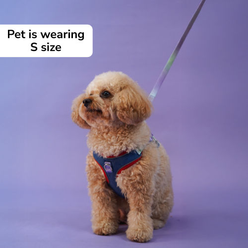 Skatrs Everyday Ready Harness & Leash Set for Small Breed Dogs & Cats (Blue)