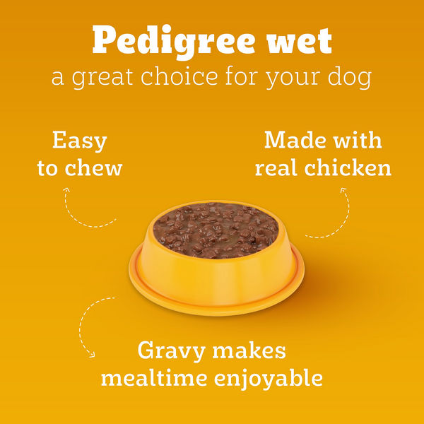Pedigree Chicken and Liver Chunks in Gravy Adult Dog Wet Food (130g)