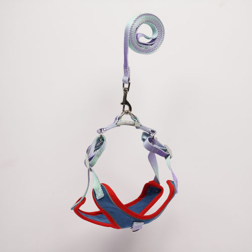 Skatrs Everyday Ready Harness & Leash Set for Small Breed Dogs & Cats (Blue)