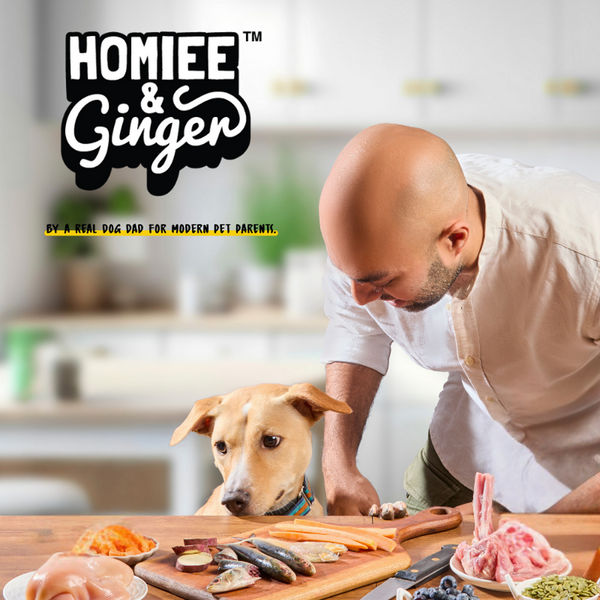 Homiee & Ginger Power Bowl Chicken Variety Pack