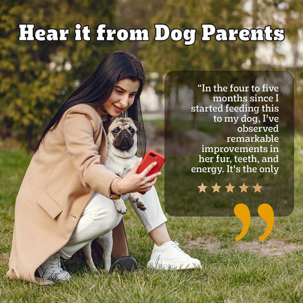 Pedigree PRO Expert Nutrition Adult Dog Dry Food for Small Breed