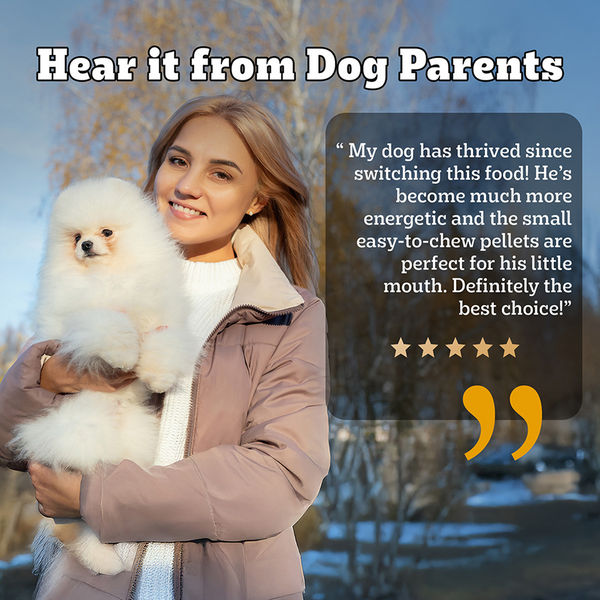 Pedigree PRO Expert Nutrition Small Breed Puppy (2 to 9 Months) Dry Food