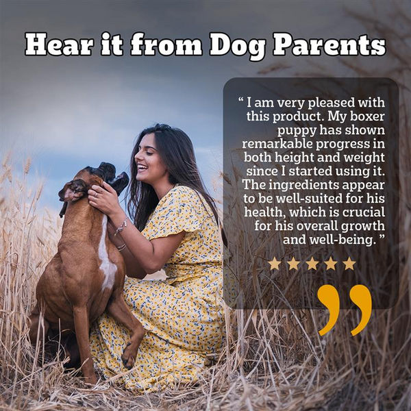 Pedigree PRO Expert Nutrition Lactating/Pregnant Mother & Puppy Starter (3 to 12 Weeks) Small Breed Dog Dry Food