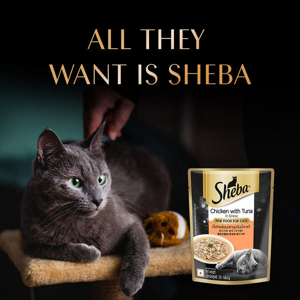 Sheba Chicken With Tuna In Gravy Rich Premium Adult Fine Cat Wet Food