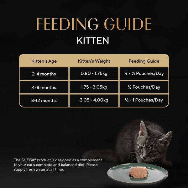 Sheba Chicken Loaf Rich Premium Kitten (2 to 12 Months) Fine Cat Wet Food