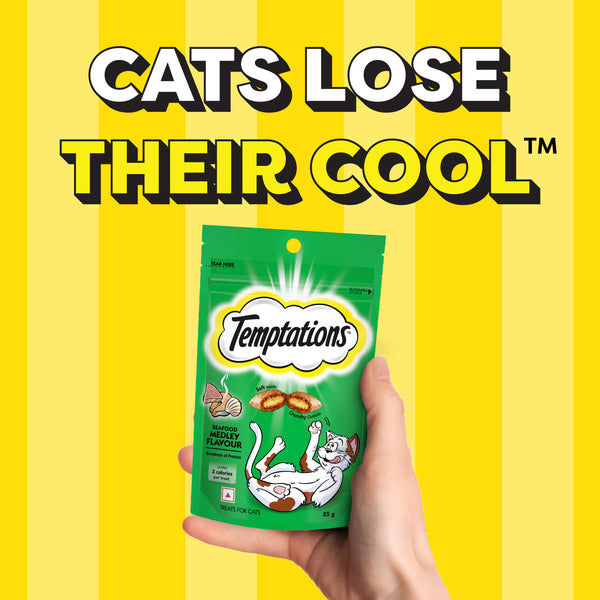 Temptations Seafood Medley Flavour Cat Treats