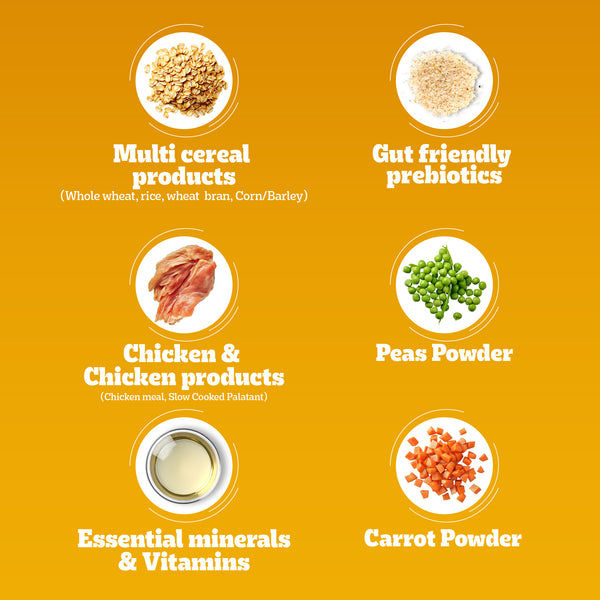 Pedigree Chicken and Vegetables Adult Dog Dry Food